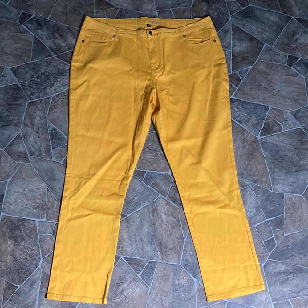 NWOT Metro Blues Skinny Pants Sz 16P - Picture 1 of 6